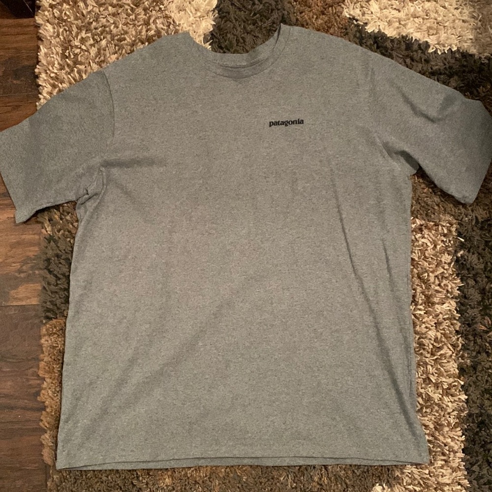Patagonia tshirt